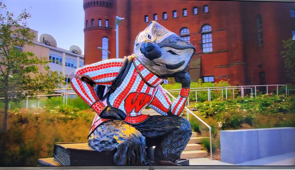 Bucky Badger- clip from BUY MY HOUSE NETFLIX